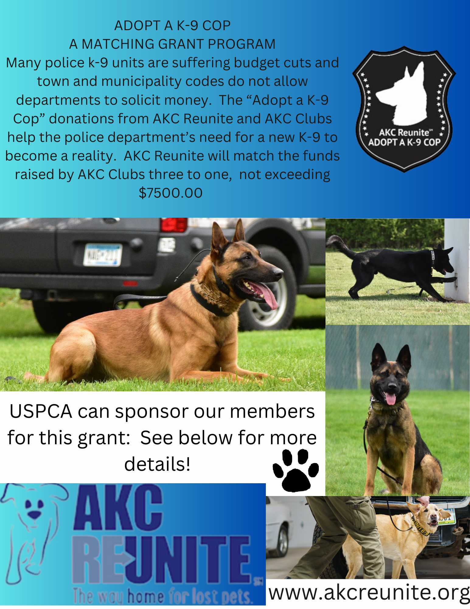 Shelter Police Dog Adoption Humane Society K9 Adoption Near Me Vietnam  Closest Dog Adoption